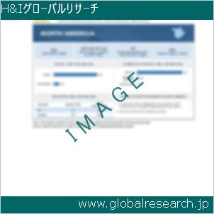 グローバルリサーチ調査レポートのイメージ